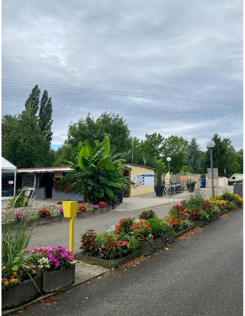 Mobile Home Proche De Europa Park Boofzheim エクステリア 写真